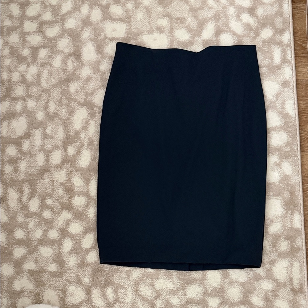Elegant Dark Navy Blue  Women's Skirt